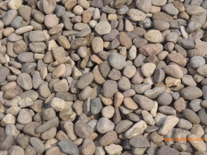 各類鵝卵石批發與供應 機制、天然及濾料鵝卵石的全面指南