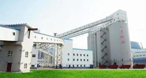 黃陵礦業(yè)一號(hào)煤礦選煤廠 開(kāi)啟礦產(chǎn)與化工制品的智能化新篇章